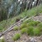 dsc08129.jpg