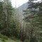 dsc08130.jpg