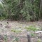 dsc08132.jpg