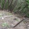 dsc08133.jpg