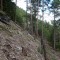 dsc08134.jpg