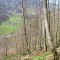 20210423_eschlenwald_d5_02.jpg