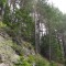 1_2_20230721.jpg