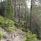 1_3_20230721.jpg