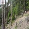 1_7_20230721.jpg
