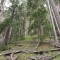 3_1_20230721.jpg