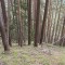3_5_20230721.jpg