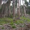 5_1_20230721.jpg