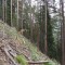 5_3_20230721.jpg