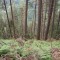 5_5_20230721.jpg