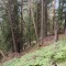 5_6_20230721.jpg