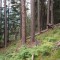 5_7_20230721.jpg