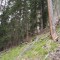 5_8_20230721.jpg