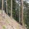 6_3_20230726.jpg