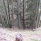 6_5_20230726.jpg