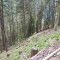 6_6_20230726.jpg