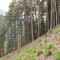 6_7_20230726.jpg