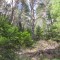 7_1_20230728.jpg