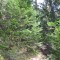 7_2_20230728.jpg