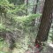 7_4_20230728.jpg