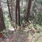 7_5_20230728.jpg