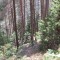 7_6_20230728.jpg