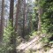 7_7_20230728.jpg