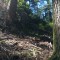 wf_boschgrass_fst_3_nr_22.jpg