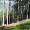 wf_poschiavo_suaser-02.jpg