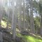 wf_poschiavo_suaser-06.jpg