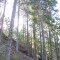 wf_poschiavo_suaser-14.jpg