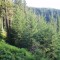 wf_ladir_con-da-cauras_fs-3.3_2018.jpg