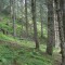wf_falera_val-da-cafegns_fs-2.2_2012.jpg