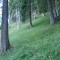 10_photo2.jpg