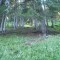 10_photo4.jpg