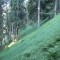 11_photo2.jpg