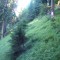 11_photo4.jpg