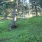 11_photo6.jpg