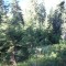 4_photo3.jpg