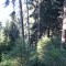 4_photo4.jpg
