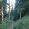 4_photo5.jpg