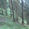 5_photo1.jpg