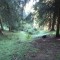 5_photo2.jpg