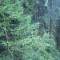 6_photo3.jpg