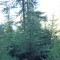 6_photo5.jpg