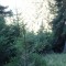 6_photo6.jpg
