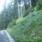 9_photo1.jpg