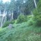 9_photo2.jpg