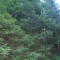 9_photo5.jpg