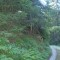 9_photo6.jpg